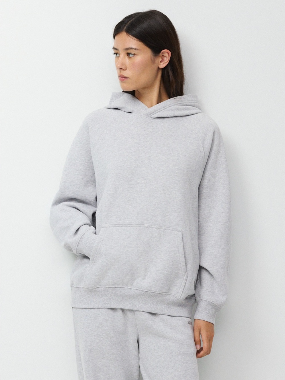 Aritzia Sweatfleece Hoodie in Heather Gray